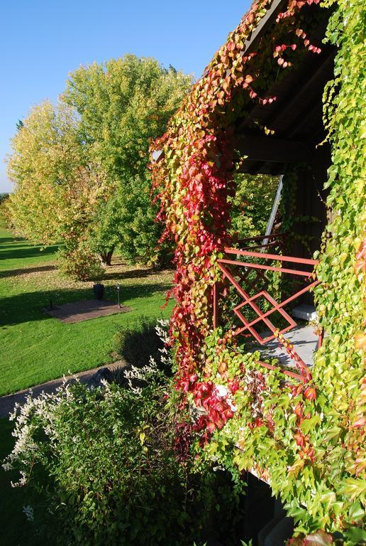 Domaine De L'Arbrelle Hotel Amboise Buitenkant foto