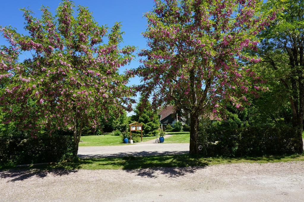 Domaine De L'Arbrelle Hotel Amboise Buitenkant foto