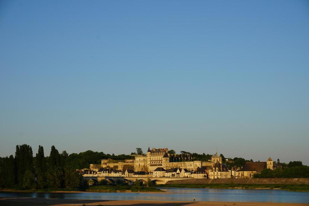 Domaine De L'Arbrelle Hotel Amboise Buitenkant foto
