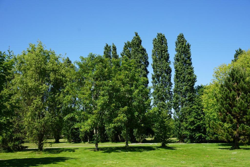 Domaine De L'Arbrelle Hotel Amboise Buitenkant foto